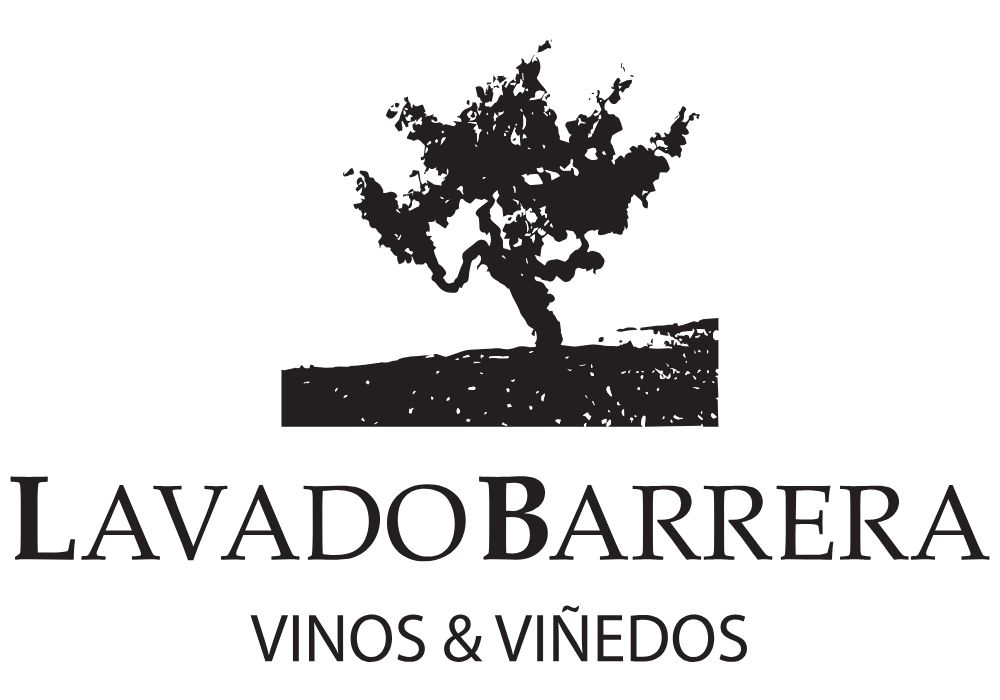Vinos Lavado Barrera