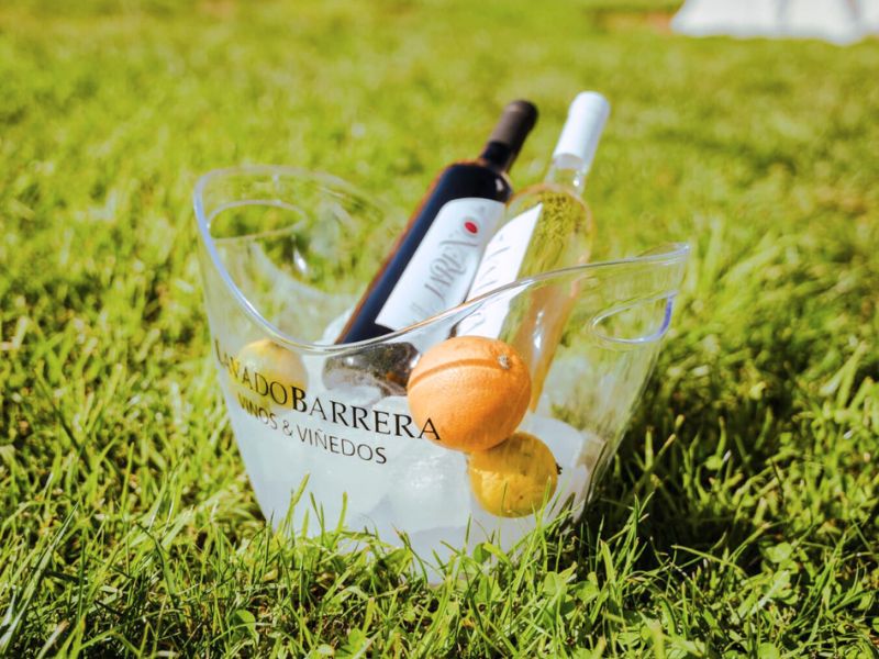 EL ARTE DEL VINO EN BODEGAS LAVADO BARRERA EL ARTE DEL VINO EN BODEGAS LAVADO BARRERA