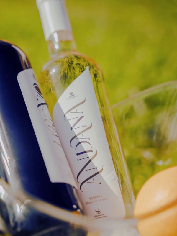 NUESTRO VINOS, REFLEJO DE NUESTRA TIERRA NUESTRO VINOS, REFLEJO DE NUESTRA TIERRA